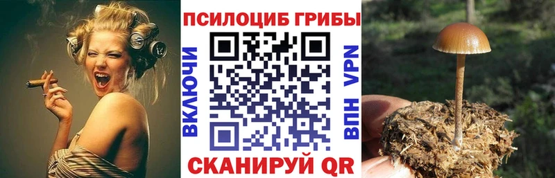 ОМГ ОМГ как войти  Белорецк  Галлюциногенные грибы Psilocybe 
