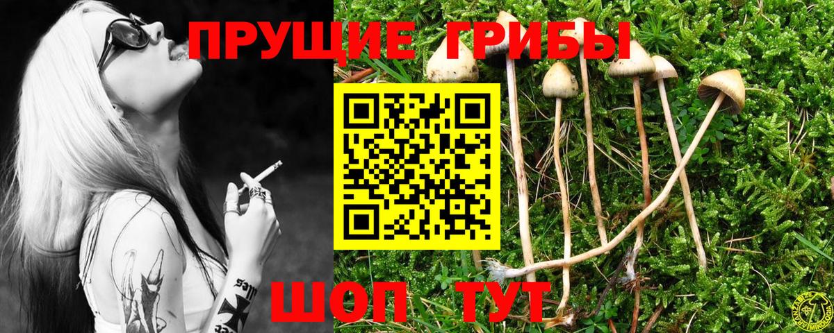 Галлюциногенные грибы Psilocybine cubensis  купить  цена  Вход с VPN  Белорецк  Псилоцибиновые грибы ЛСД 