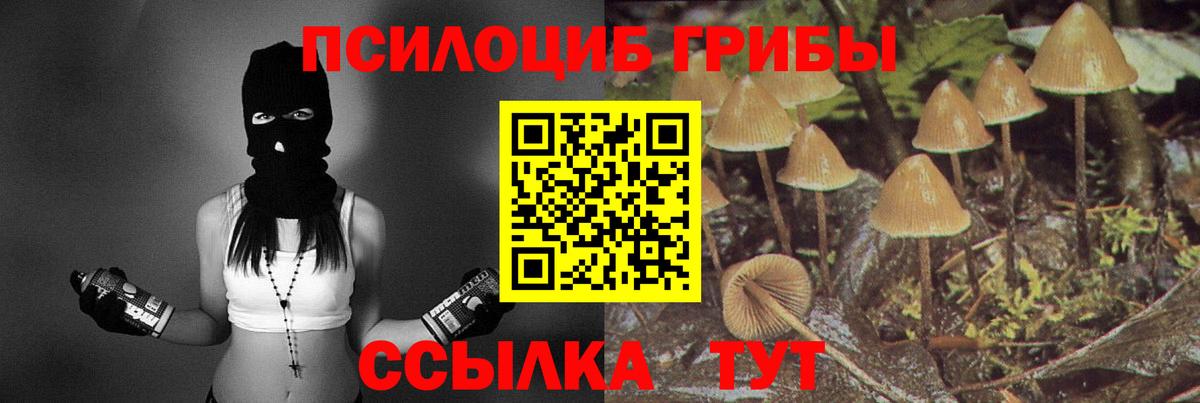 Псилоцибиновые грибы Magic Shrooms  где продают   Белорецк  Галлюциногенные грибы Magic Shrooms 